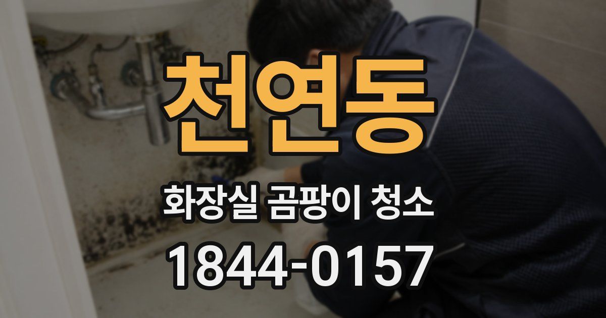 천연동 화장실 곰팡이 청소