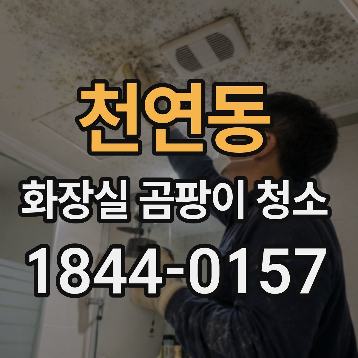 천연동 화장실 곰팡이 청소