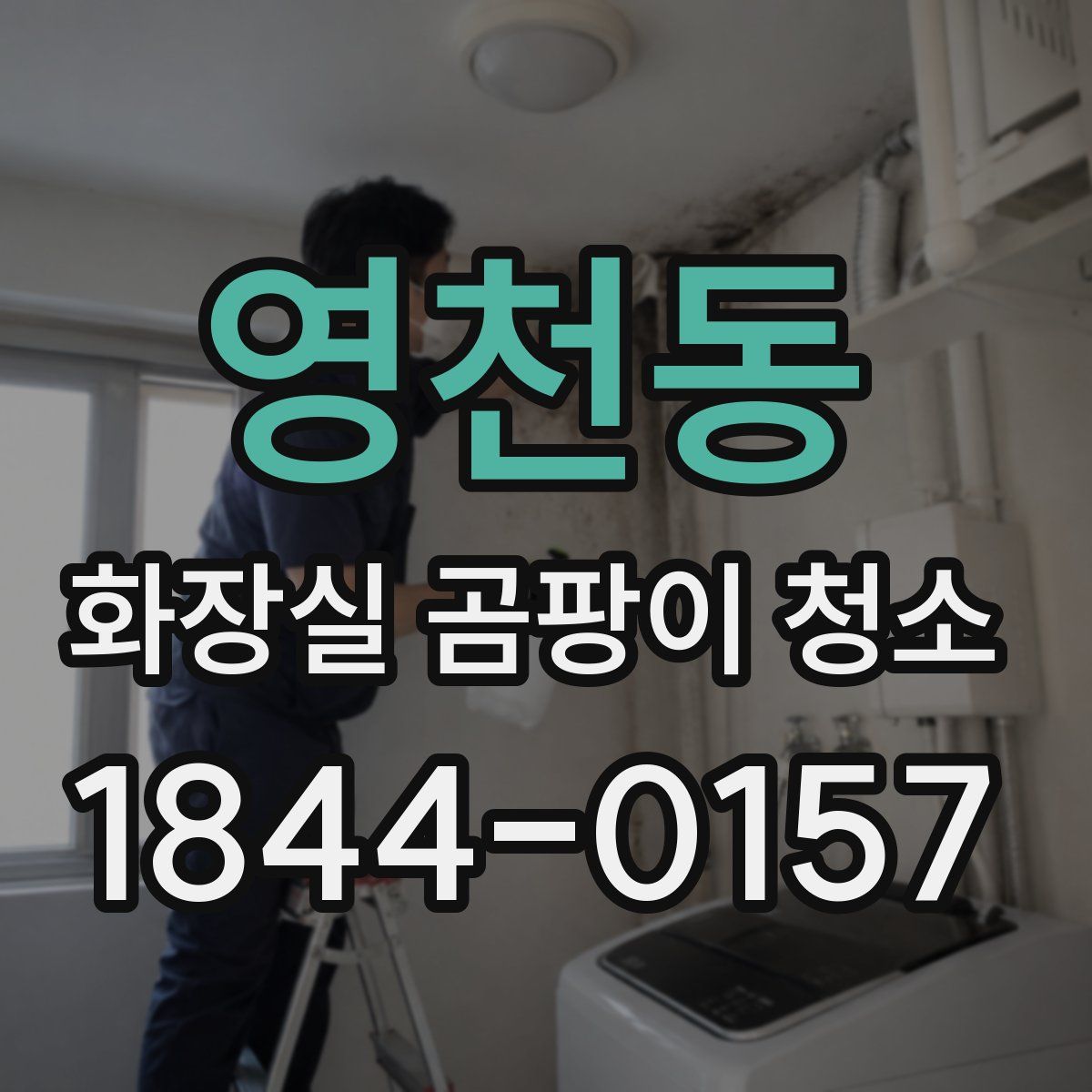 영천동 화장실 곰팡이 청소