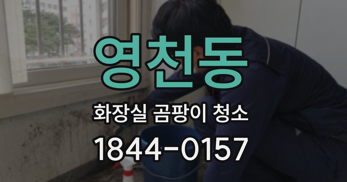 영천동 화장실 곰팡이 청소