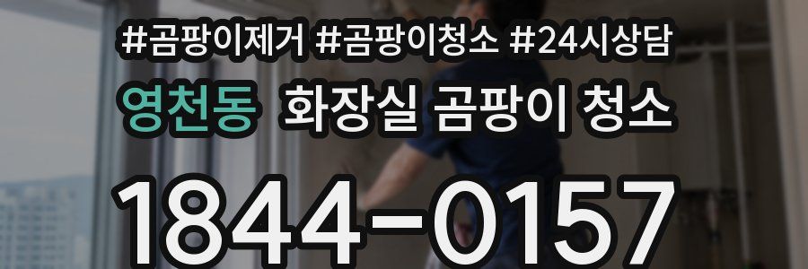 영천동 화장실 곰팡이 청소