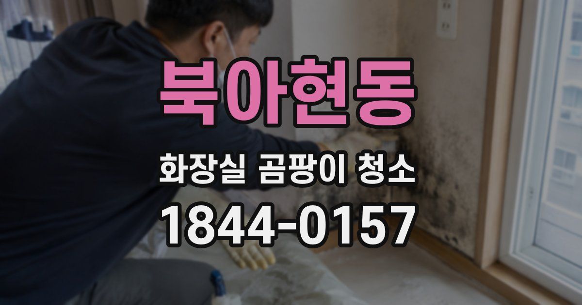 북아현동 화장실 곰팡이 청소