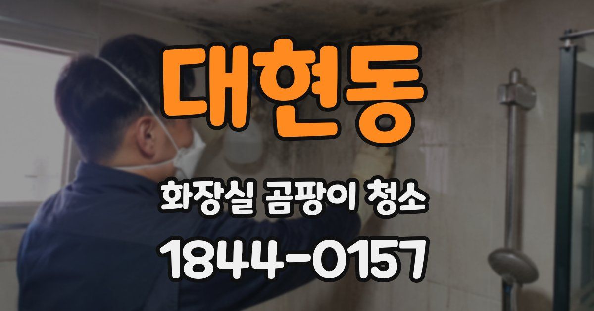 대현동 화장실 곰팡이 청소