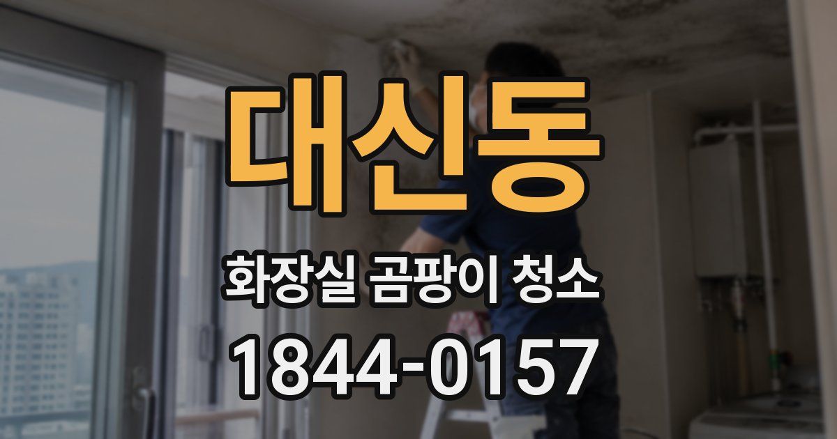 대신동 화장실 곰팡이 청소