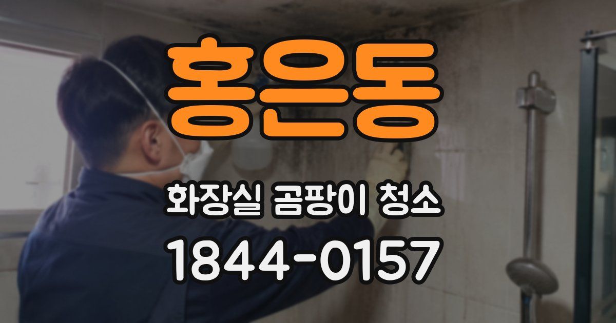 홍은동 화장실 곰팡이 청소
