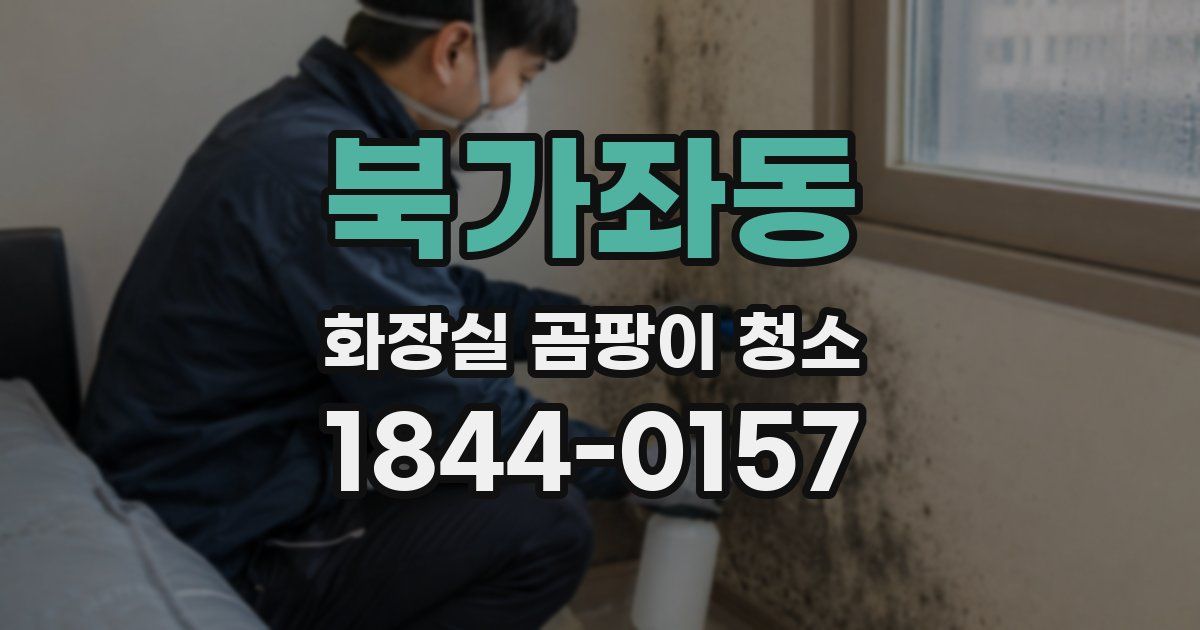 북가좌동 화장실 곰팡이 청소