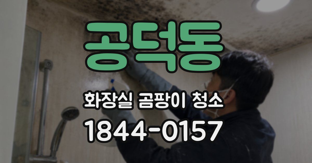 공덕동 화장실 곰팡이 청소