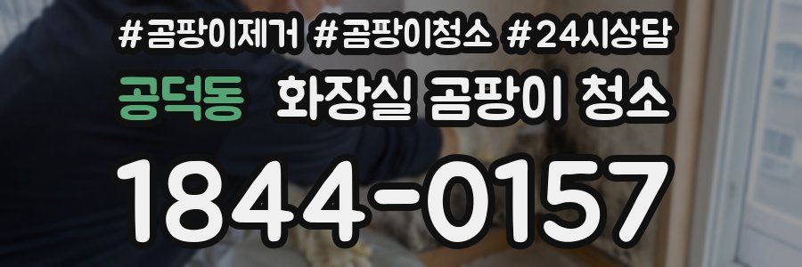 공덕동 화장실 곰팡이 청소