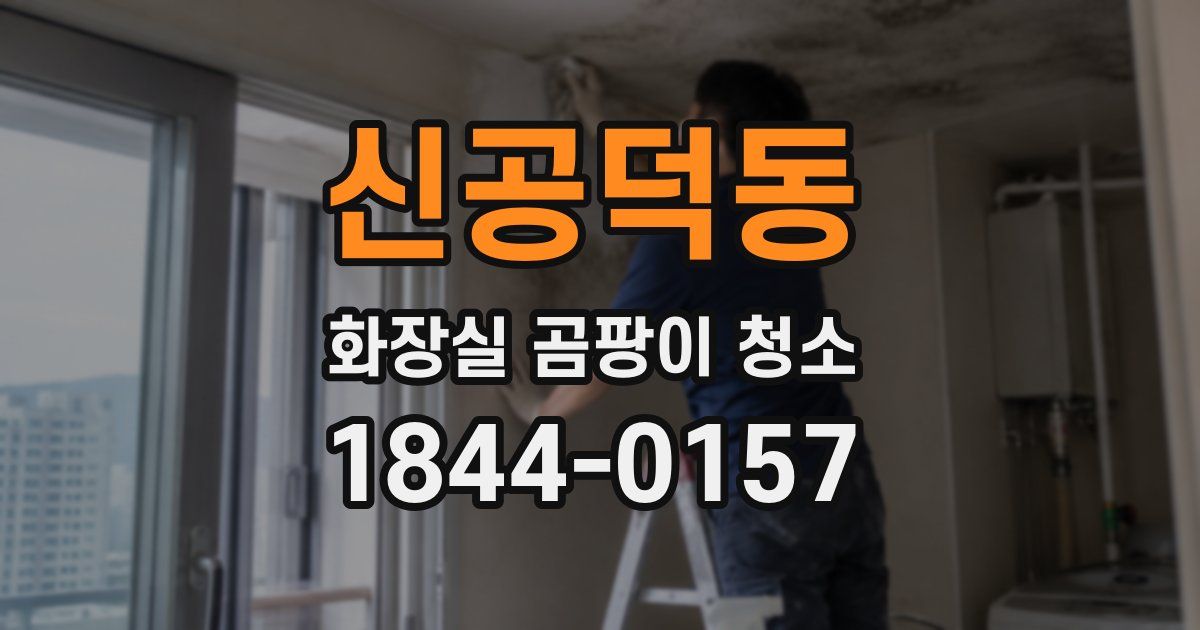 신공덕동 화장실 곰팡이 청소