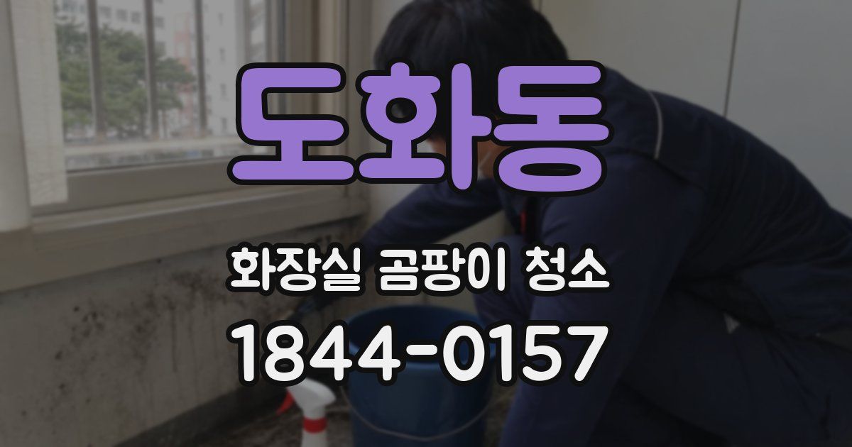 도화동 화장실 곰팡이 청소