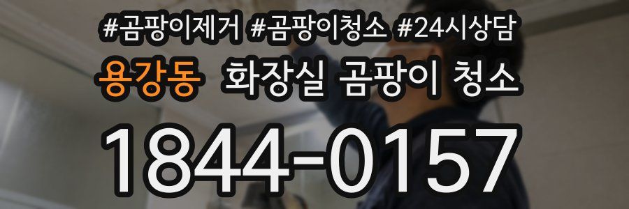 용강동 화장실 곰팡이 청소