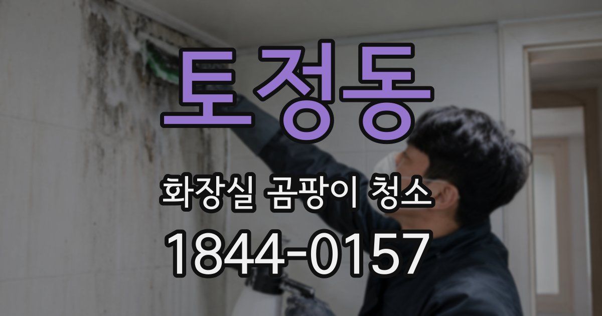토정동 화장실 곰팡이 청소