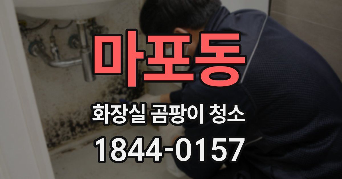 마포동 화장실 곰팡이 청소