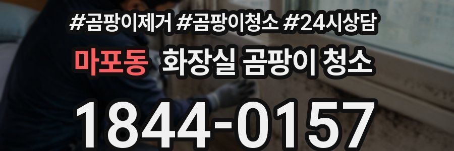 마포동 화장실 곰팡이 청소