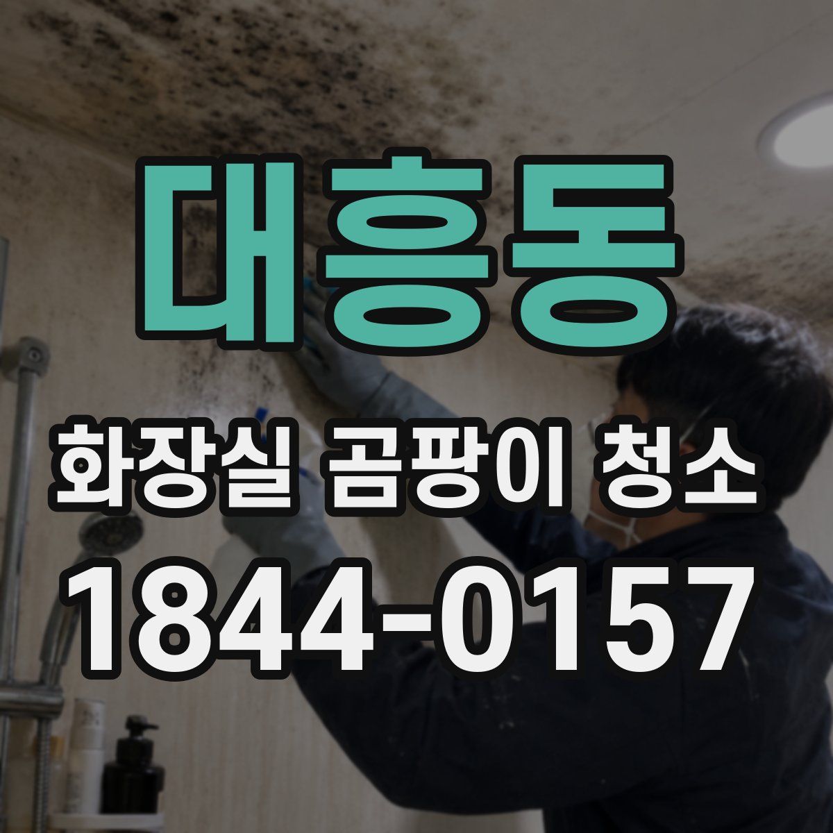 대흥동 화장실 곰팡이 청소