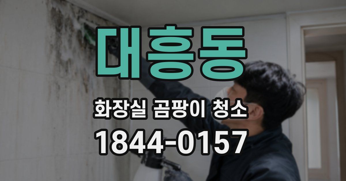 대흥동 화장실 곰팡이 청소