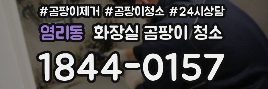염리동 화장실 곰팡이 청소