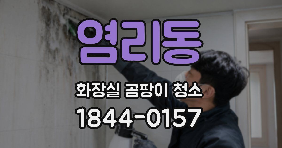 염리동 화장실 곰팡이 청소