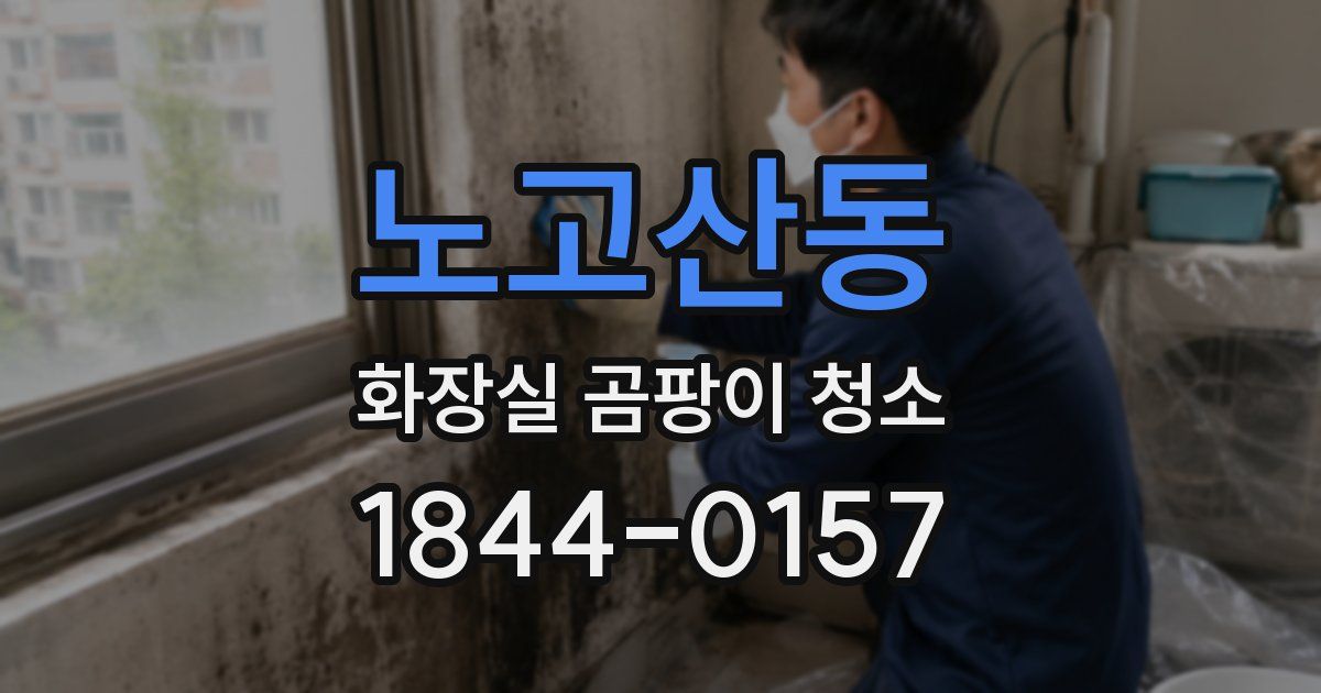 노고산동 화장실 곰팡이 청소
