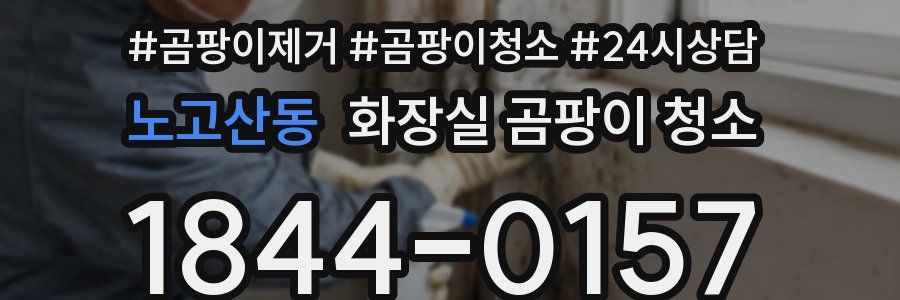 노고산동 화장실 곰팡이 청소