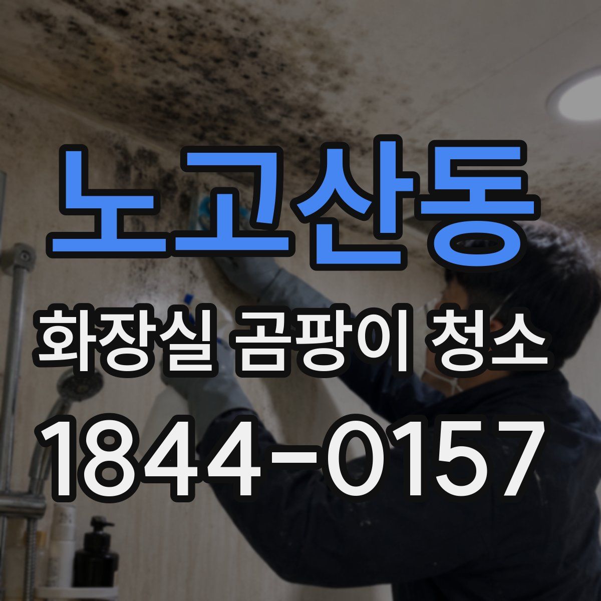 노고산동 화장실 곰팡이 청소