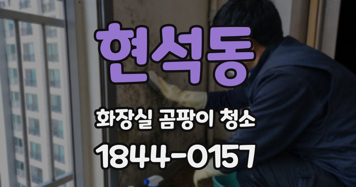현석동 화장실 곰팡이 청소