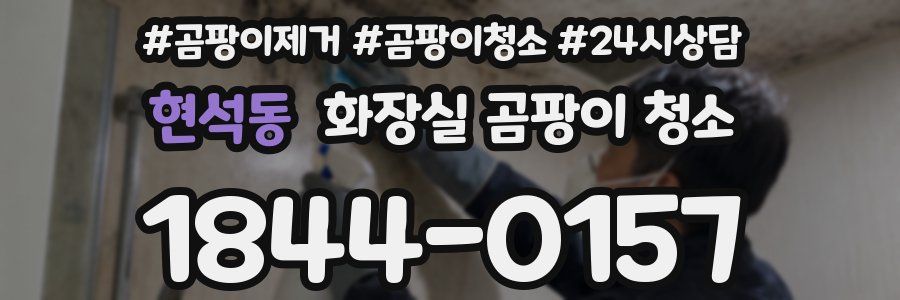 현석동 화장실 곰팡이 청소