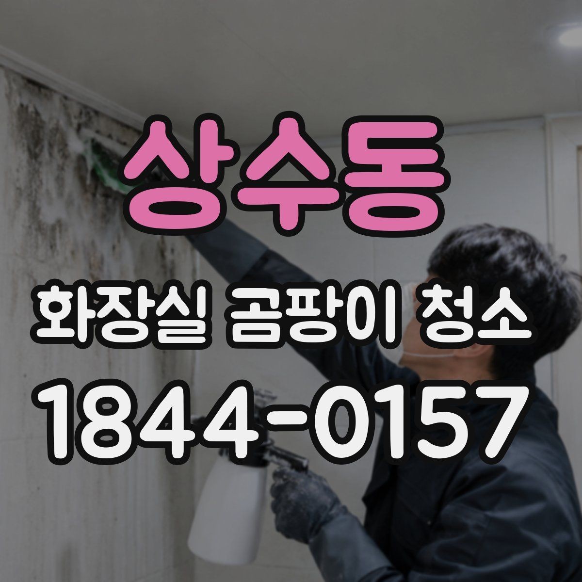 상수동 화장실 곰팡이 청소 민감한 재질에 부담 덜한 관리법