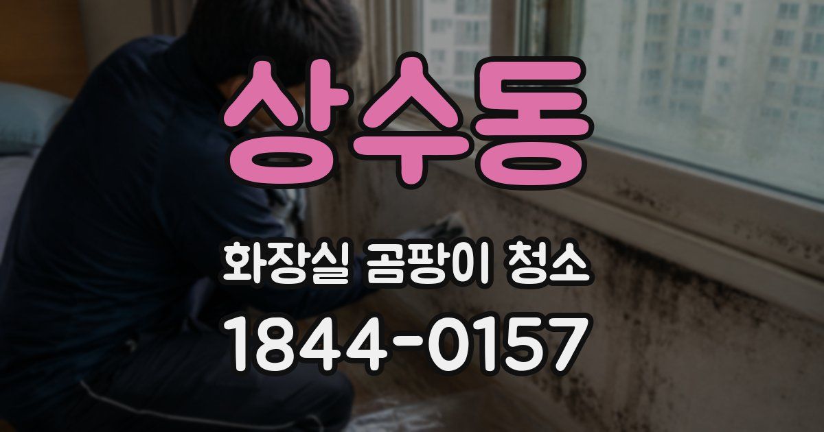 상수동 화장실 곰팡이 청소