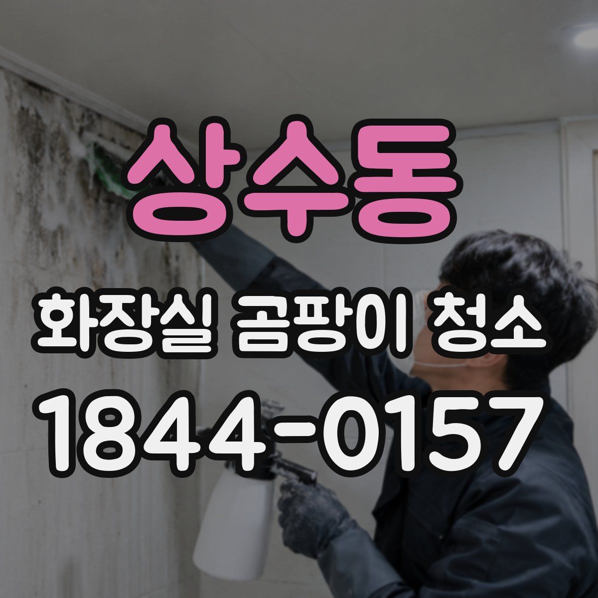 상수동 화장실 곰팡이 청소