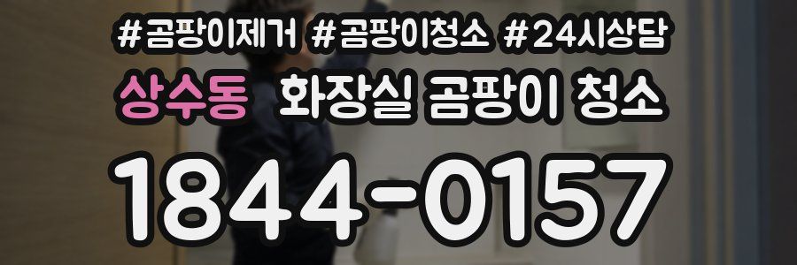 상수동 화장실 곰팡이 청소