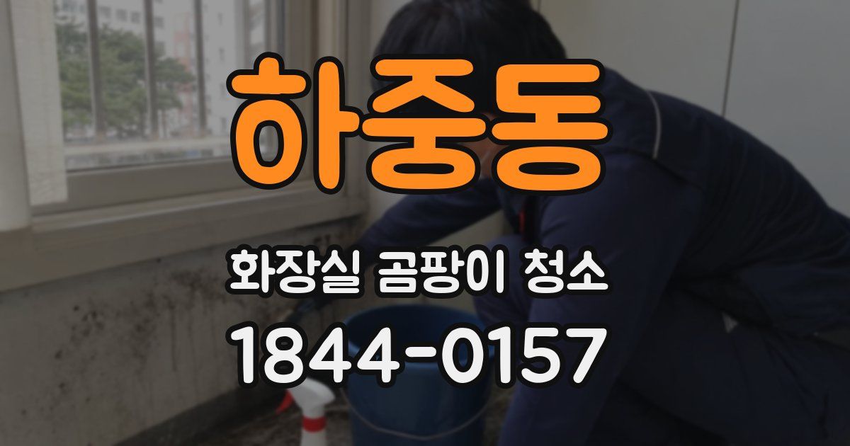 하중동 화장실 곰팡이 청소