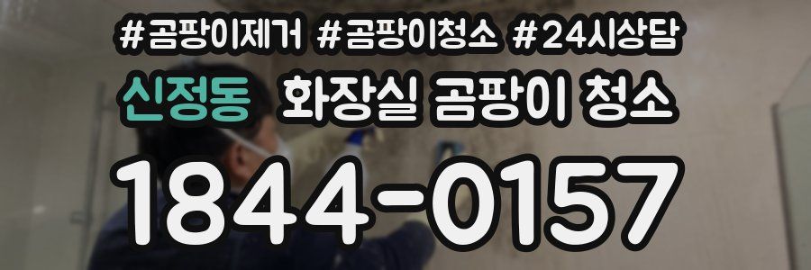 신정동 화장실 곰팡이 청소