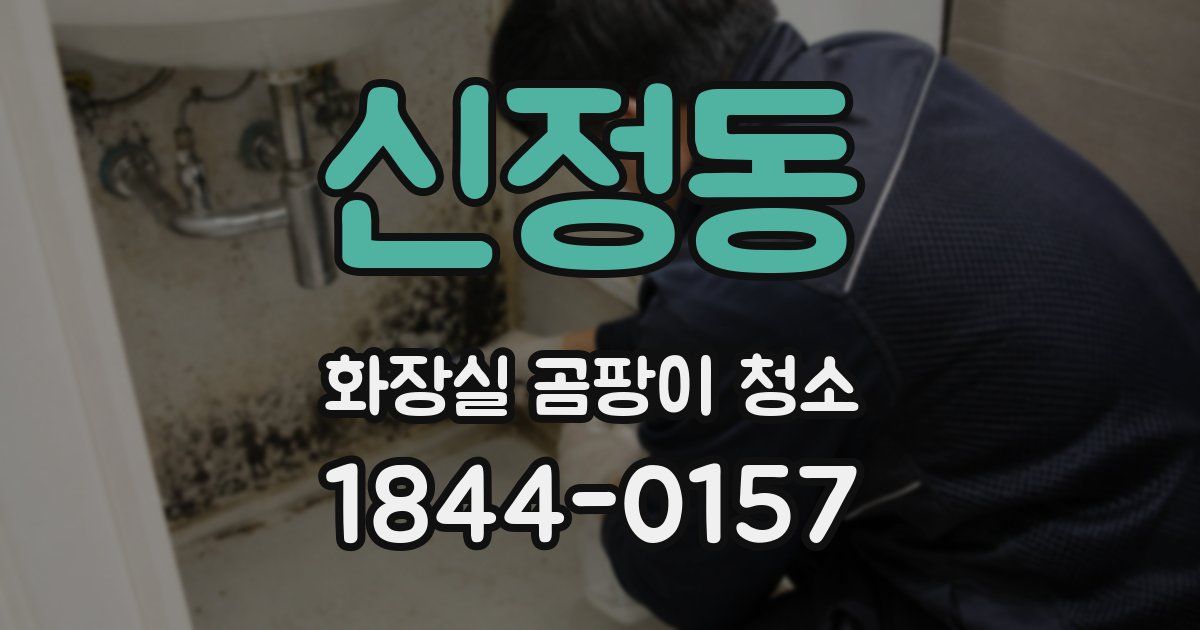 신정동 화장실 곰팡이 청소