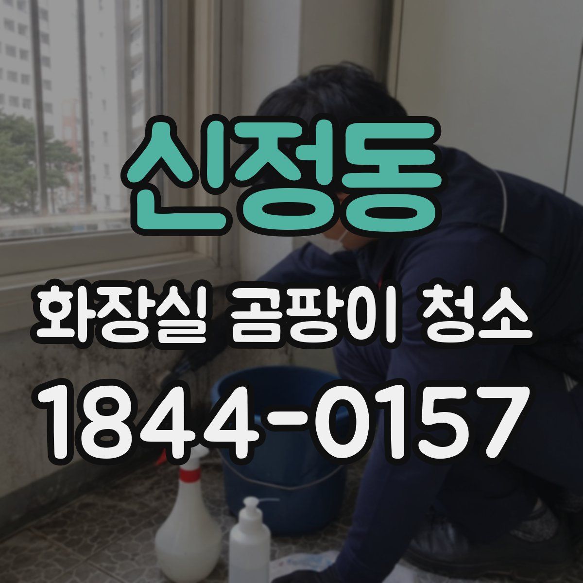 신정동 화장실 곰팡이 청소