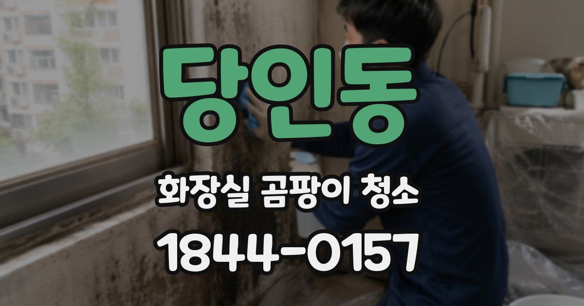 당인동 화장실 곰팡이 청소