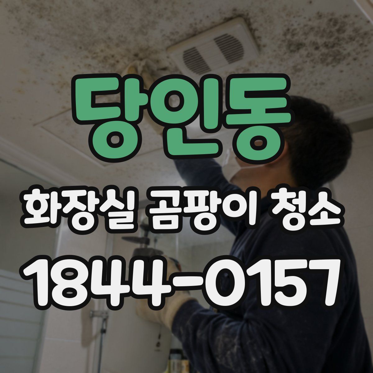 당인동 화장실 곰팡이 청소