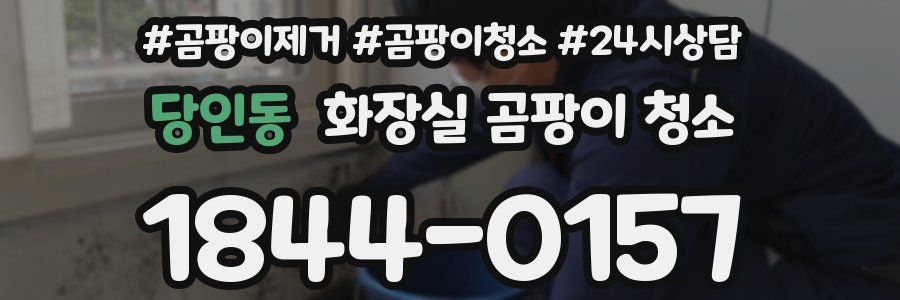 당인동 화장실 곰팡이 청소