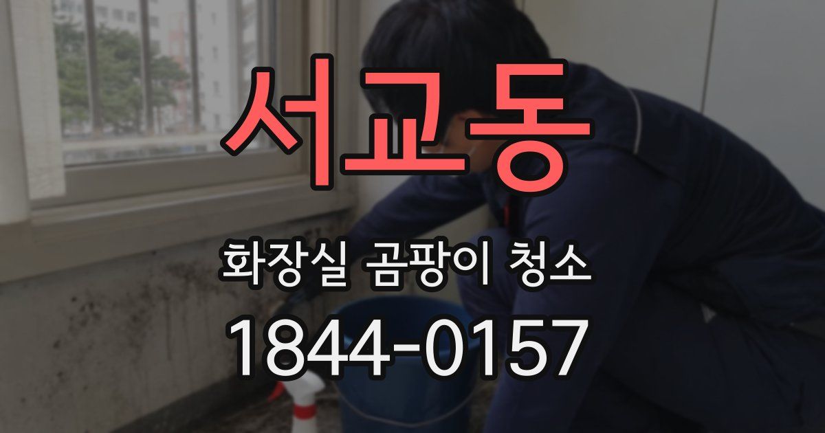 서교동 화장실 곰팡이 청소