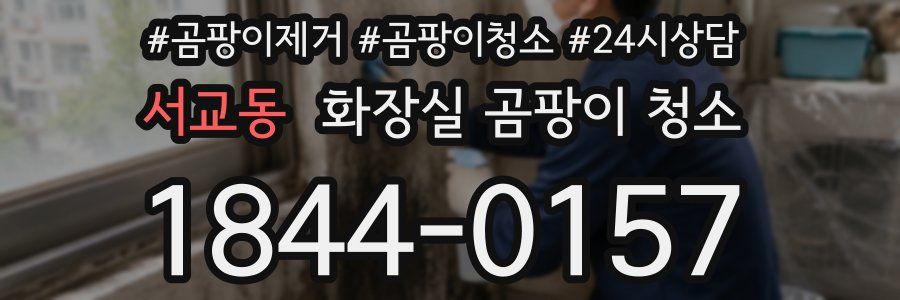 서교동 화장실 곰팡이 청소