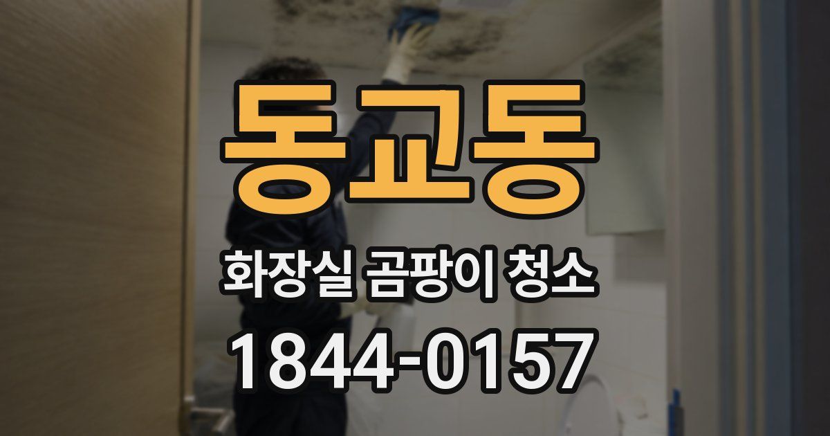 동교동 화장실 곰팡이 청소
