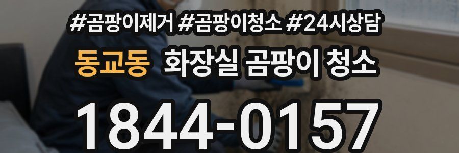 동교동 화장실 곰팡이 청소