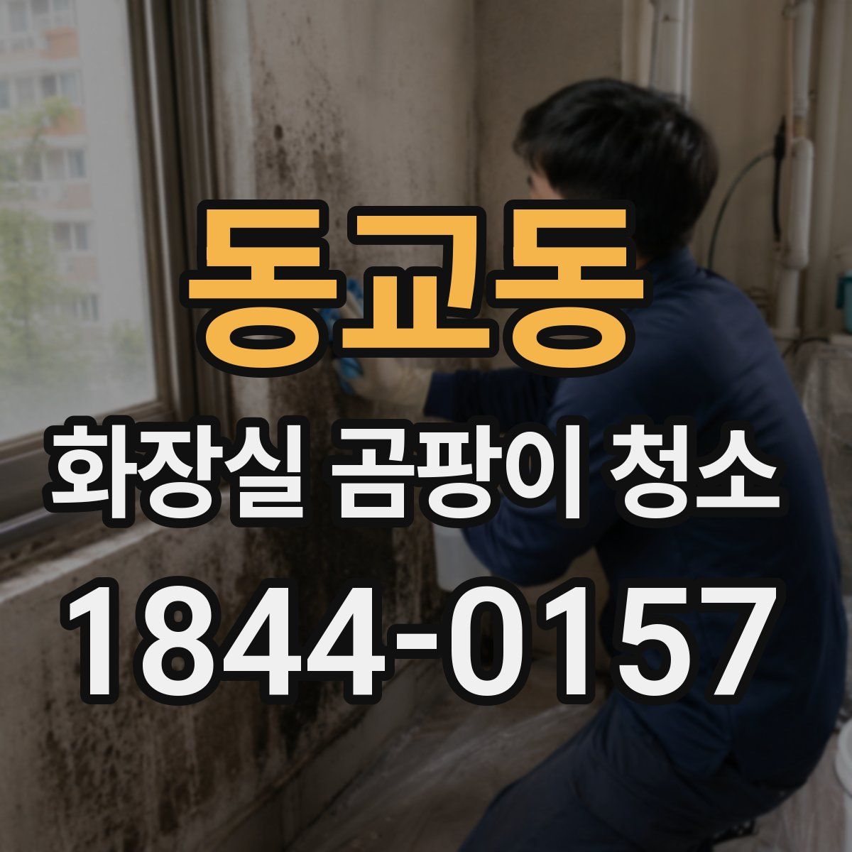 동교동 화장실 곰팡이 청소