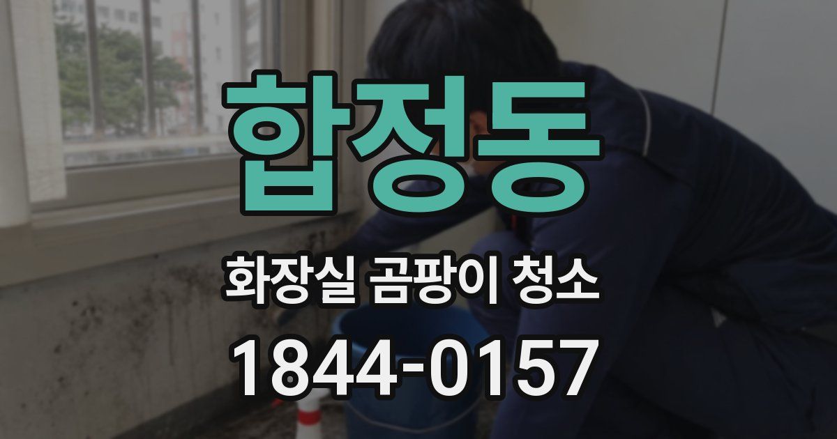 합정동 화장실 곰팡이 청소