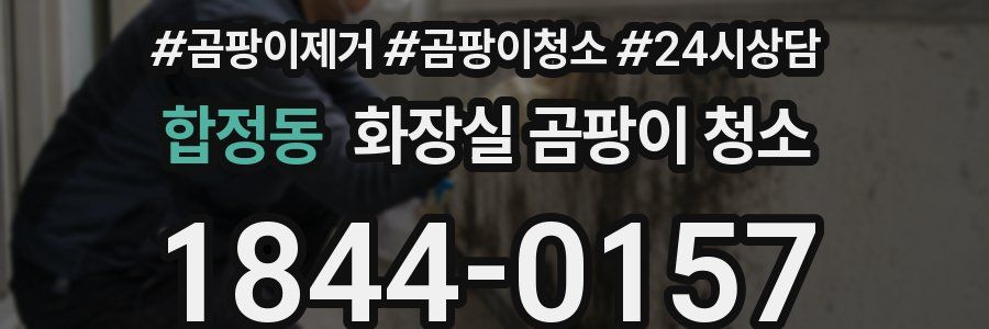 합정동 화장실 곰팡이 청소