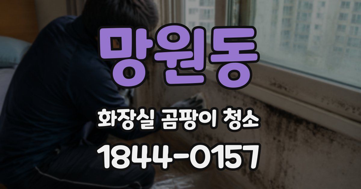 망원동 화장실 곰팡이 청소