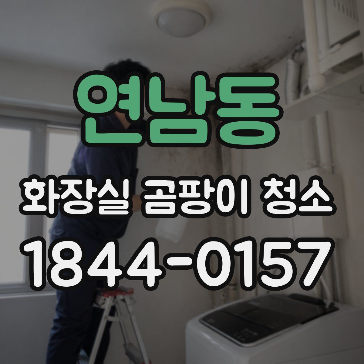 연남동 화장실 곰팡이 청소