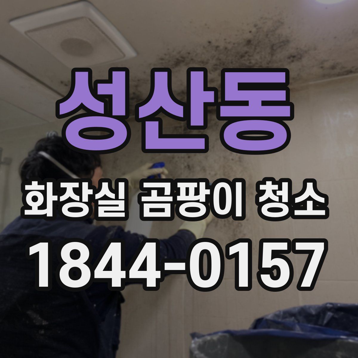 성산동 화장실 곰팡이 청소