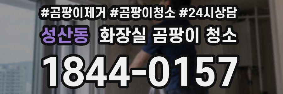 성산동 화장실 곰팡이 청소