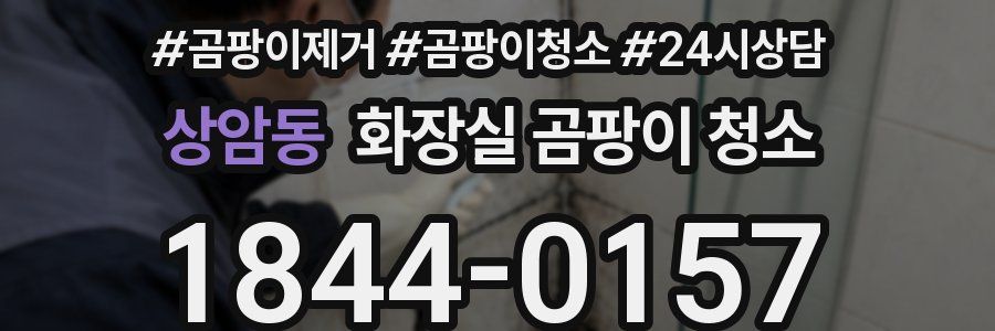 상암동 화장실 곰팡이 청소